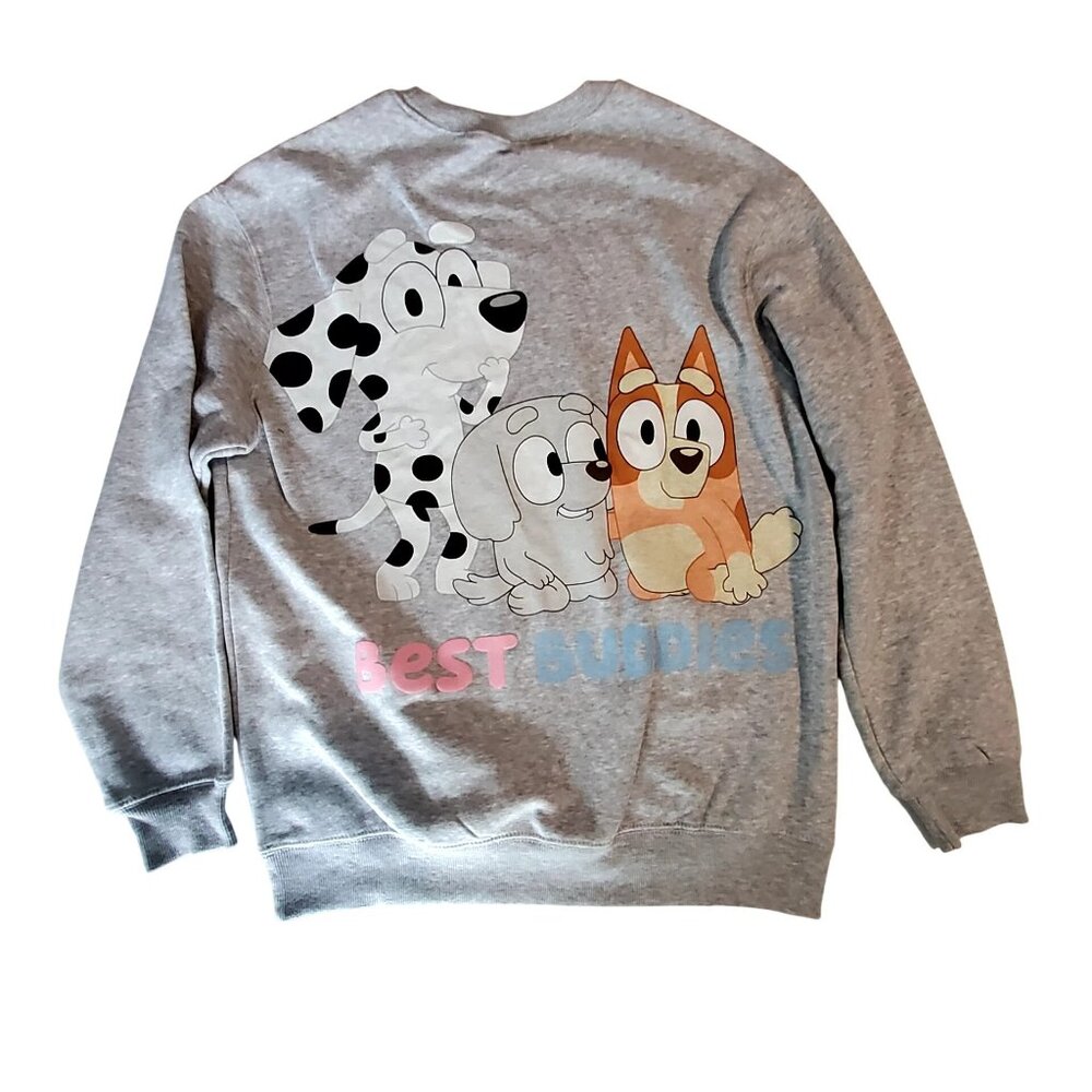 Bluey Heather Grey Sweatshirt Size M Featuring Best Buddies Front & Back Graphic - Picture 2 of 7